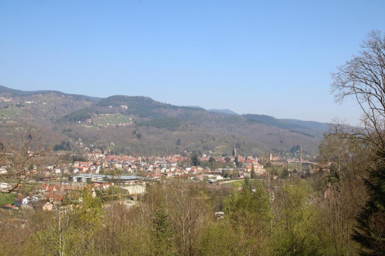 Gite Le Chataignier Luttenbach-près-Munster Zewnętrze zdjęcie